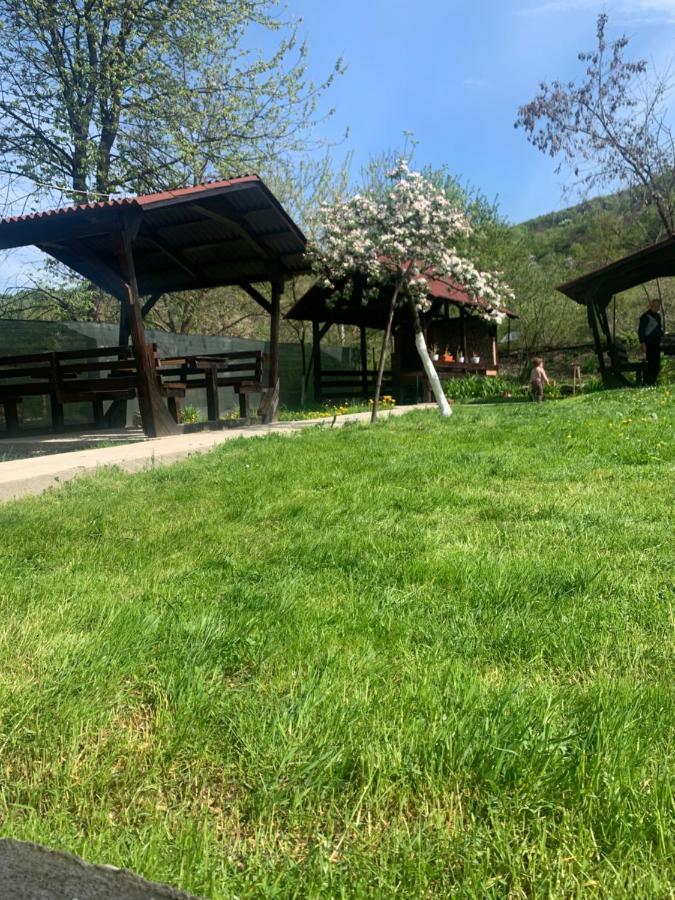 M Dey Vişeu de Sus Exterior foto