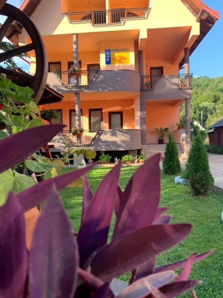 M Dey Vişeu de Sus Exterior foto