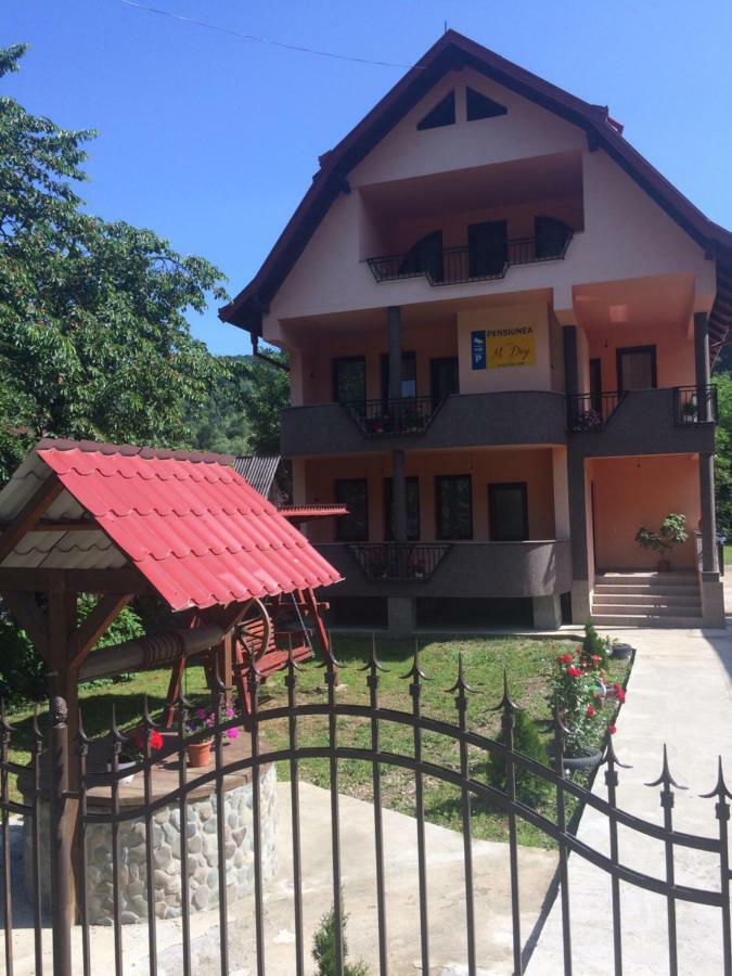 M Dey Vişeu de Sus Exterior foto
